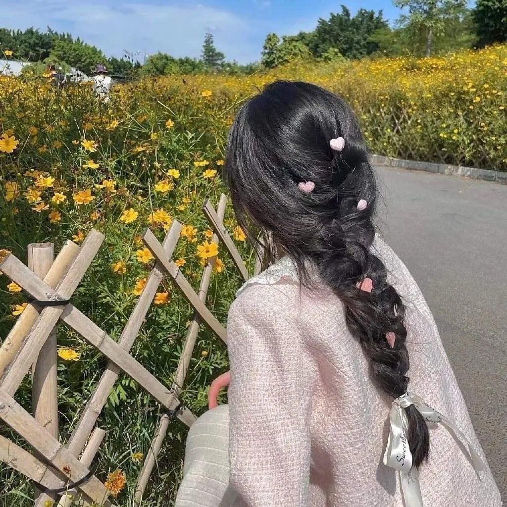 漂亮马驹